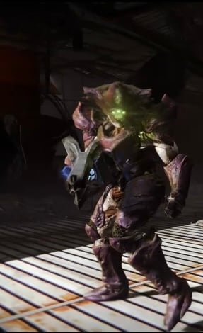 Celebrant Of Oryx.jpg