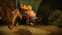 A Scorn Walker